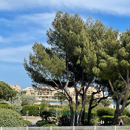 My Little Provence Bormes Les Mimosas Apartment Exterior photo